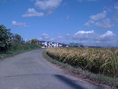 1309966463_252.jpg