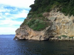IMG_1000000293.jpg